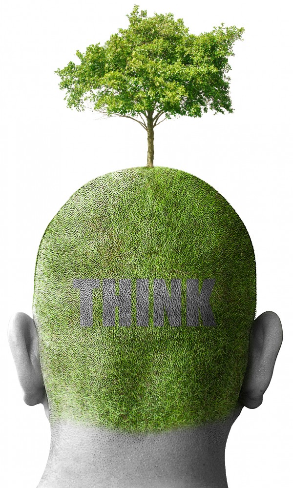 Creation of Think Green: Final Result